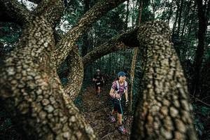 BIB: 
                            <button type="button" onclick="openModal(25393037)" class="btn btn-primary btn-sm float-right btn-popup" data-toggle="modal" data-target=".modal-high-quality">
                        <i class="fas fa-shopping-cart"></i> Add to Cart
                    </button>
                                            <button type="button" onclick="isThisMe(25393037, true)" class="btn btn-success btn-sm float-right btn-popup btn-isme hidden" data-toggle="tooltip" data-placement="bottom" title="นี่คือรูปของคุณใช่ไหม คลิกที่นี่เพื่อเอาเข้าอัลบั้ม">
                        <i class="fas fa-plus"></i> Add to album
                    </button>
                    <button type="button" onclick="isThisMe(25393037, false)" class="btn btn-warning btn-sm float-right btn-popup btn-isnotme hidden">
                        <i class="fas fa-ban"></i> Remove from album
                    </button>